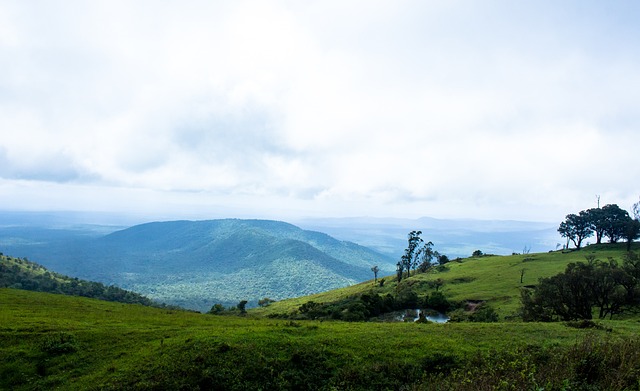 成的关系 成的关系