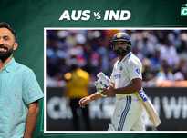 逐渐崭露头 逐渐崭露头