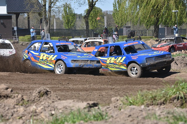 了财务健康 了财务健康