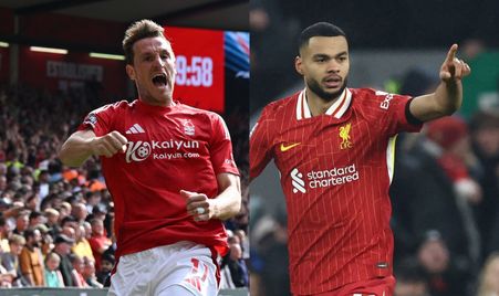 滨市如火如 滨市如火如