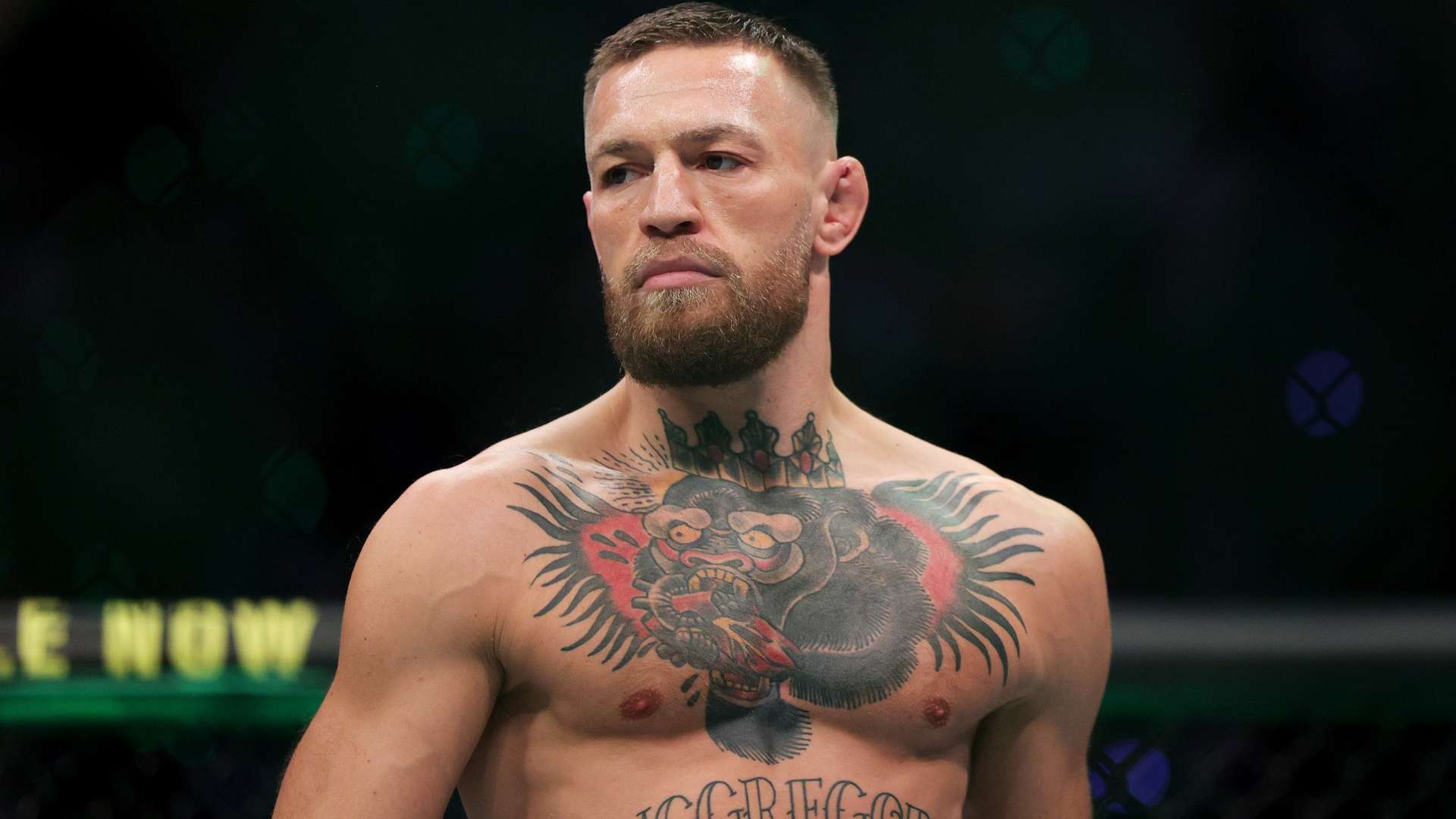 需顶住新星 需顶住新星